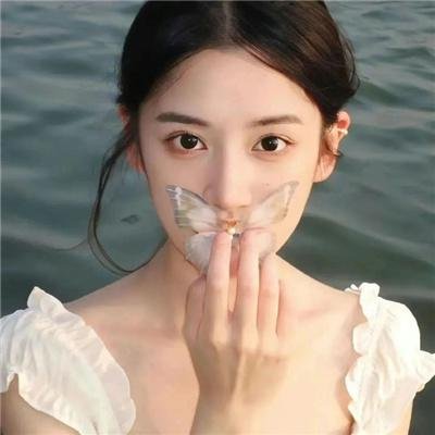 动画人生