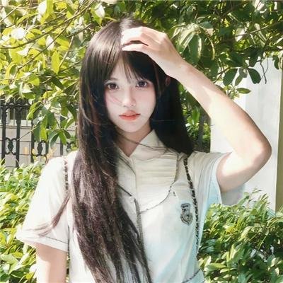 百日蔷薇